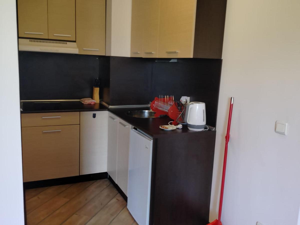 Alpine Lodge Bansko Apartments 外观 照片