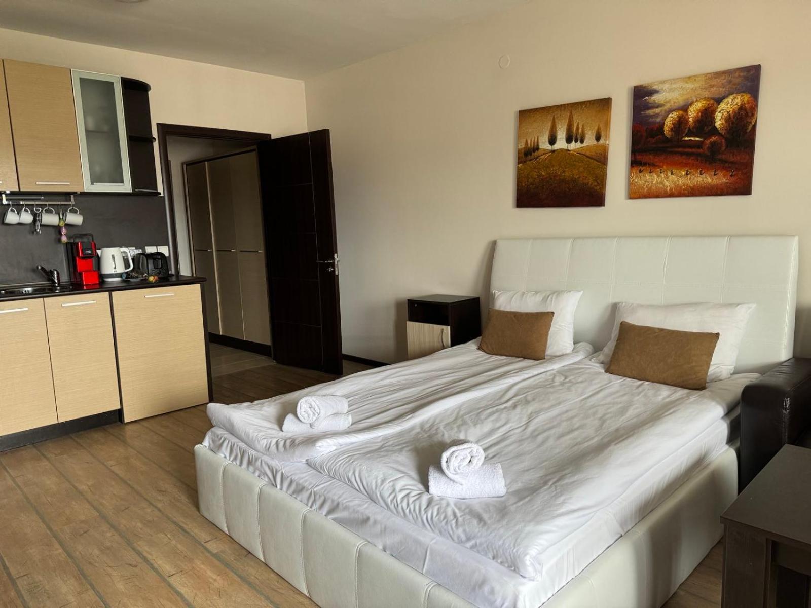 Alpine Lodge Bansko Apartments 外观 照片