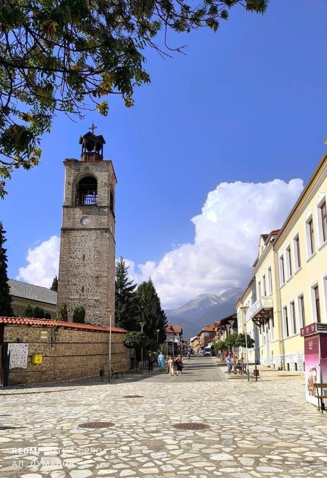 Alpine Lodge Bansko Apartments 外观 照片