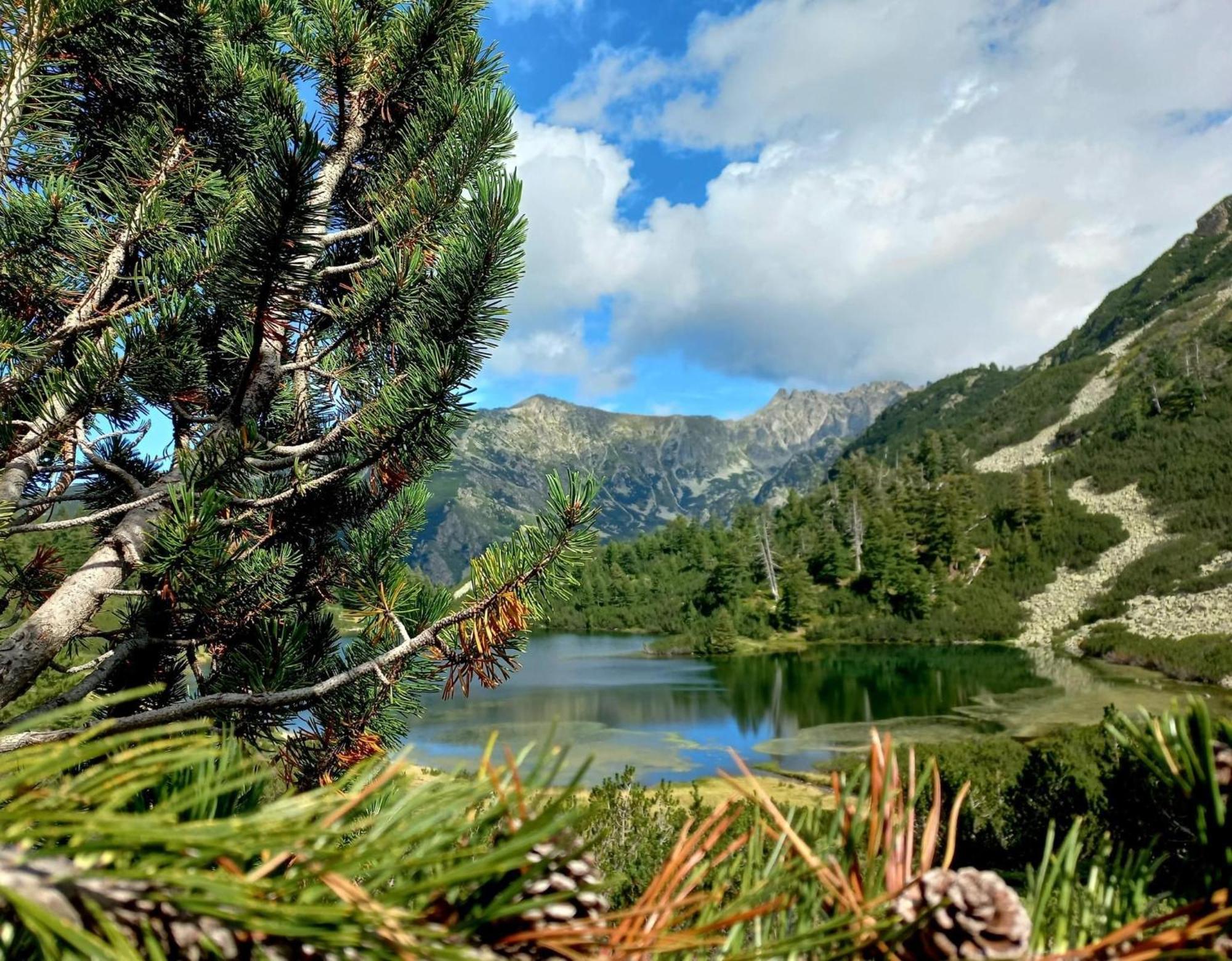 Alpine Lodge Bansko Apartments 外观 照片