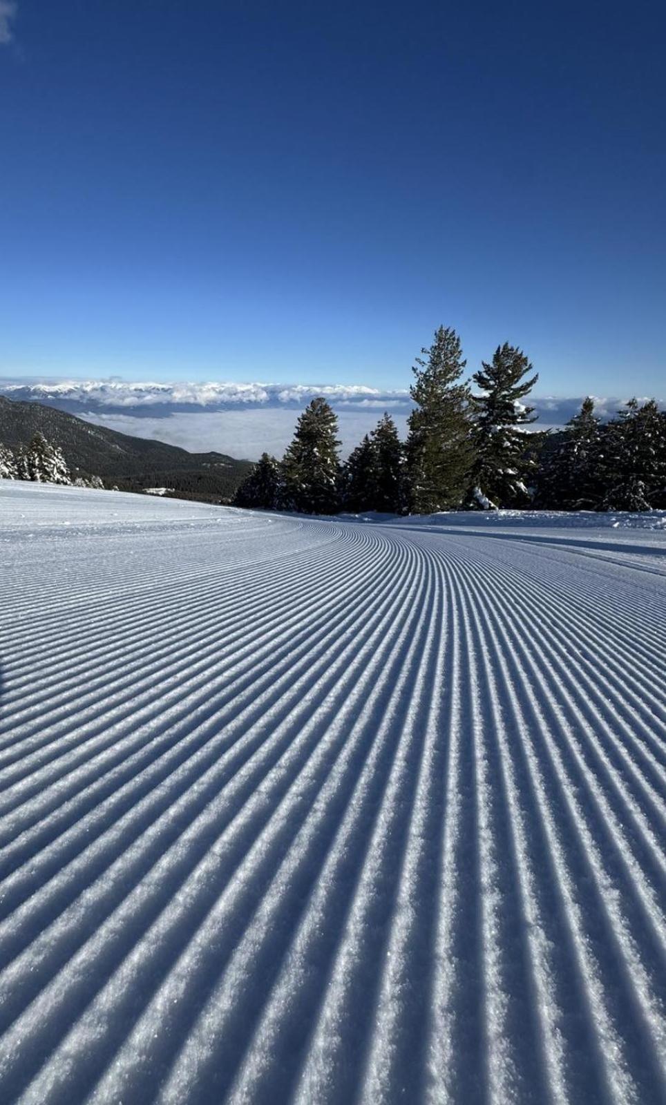 Alpine Lodge Bansko Apartments 外观 照片