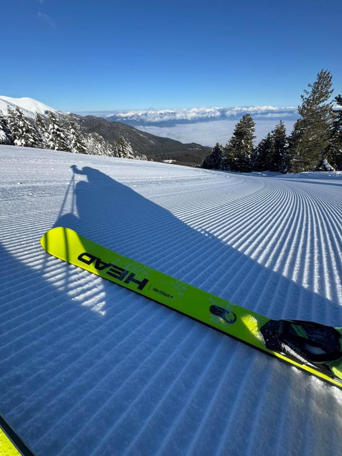 Alpine Lodge Bansko Apartments 外观 照片