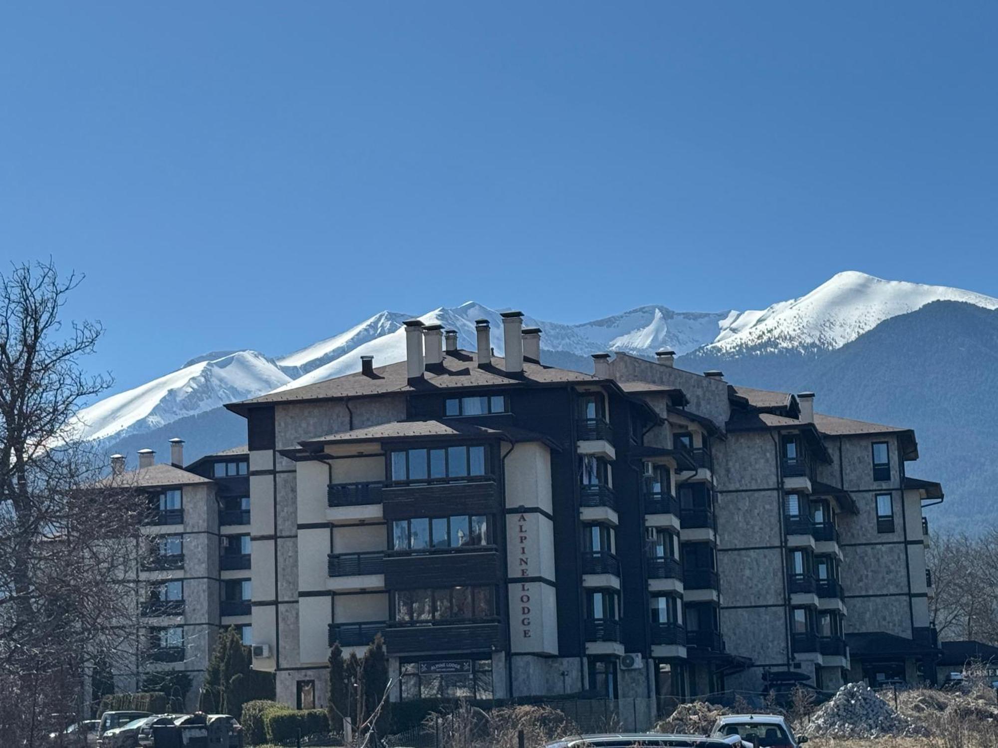Alpine Lodge Bansko Apartments 外观 照片